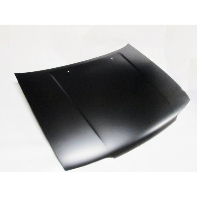Nissan Sentra Bonnet 1993-1998