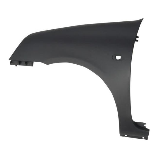 Renault Clio Front Fender LH/RH 2001-2009