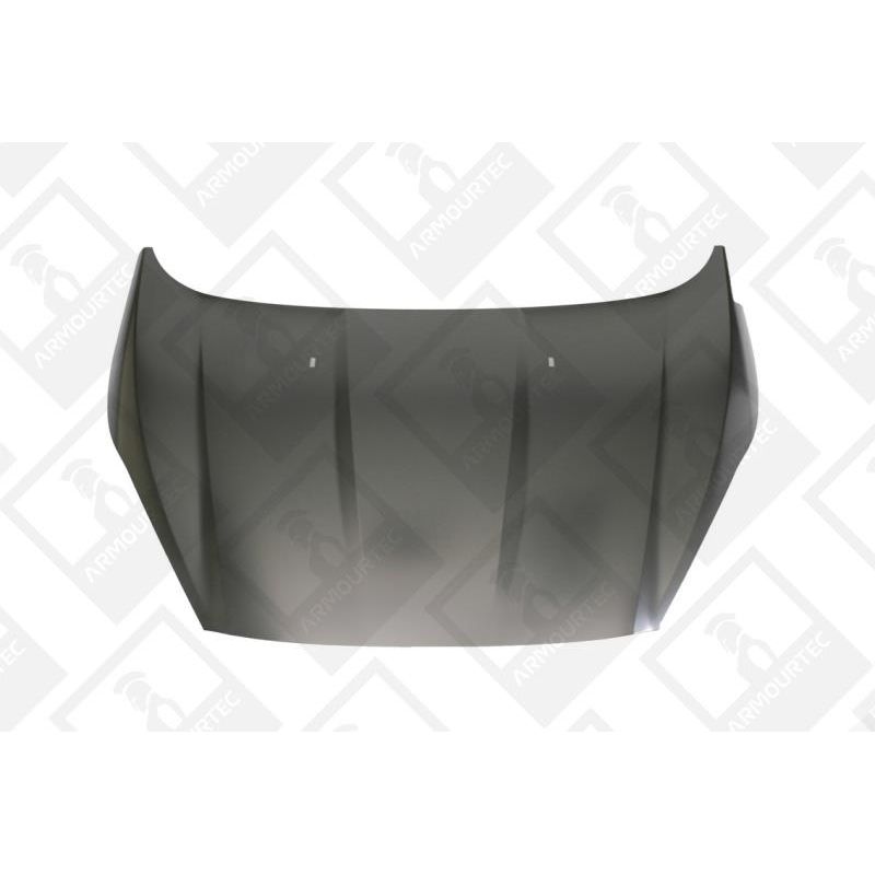 Ford Fiesta Bonnet 2013+
